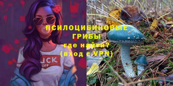 индика Осташков