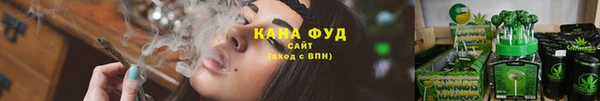 индика Осташков