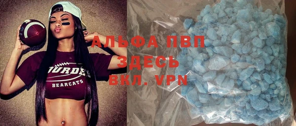 индика Осташков
