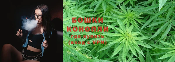 индика Осташков