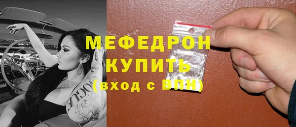 индика Осташков