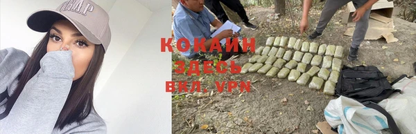 мет Осинники