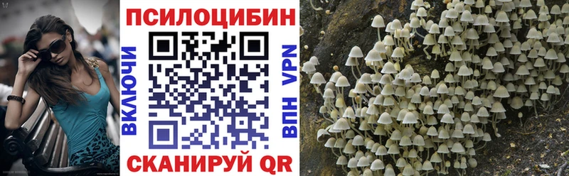 Купить  Ангарск  Галлюциногенные грибы MAGIC MUSHROOMS 